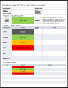 7} Editable Monthly Project Status Report Template Example