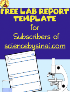 7 Printable 3Rd Grade Lab Report Template