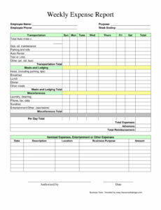 7 Printable Business Detailed Expense Report Template Docs