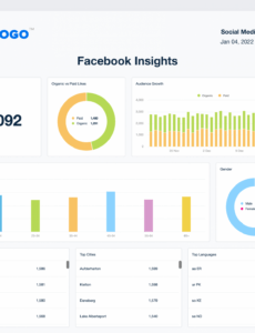 9 Editable Social Media Analytics Report Template Pdf