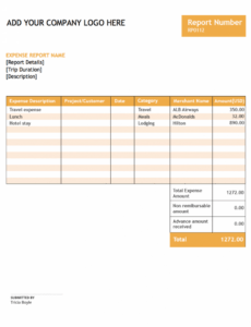 9  Employee Dinner Expense Report Template