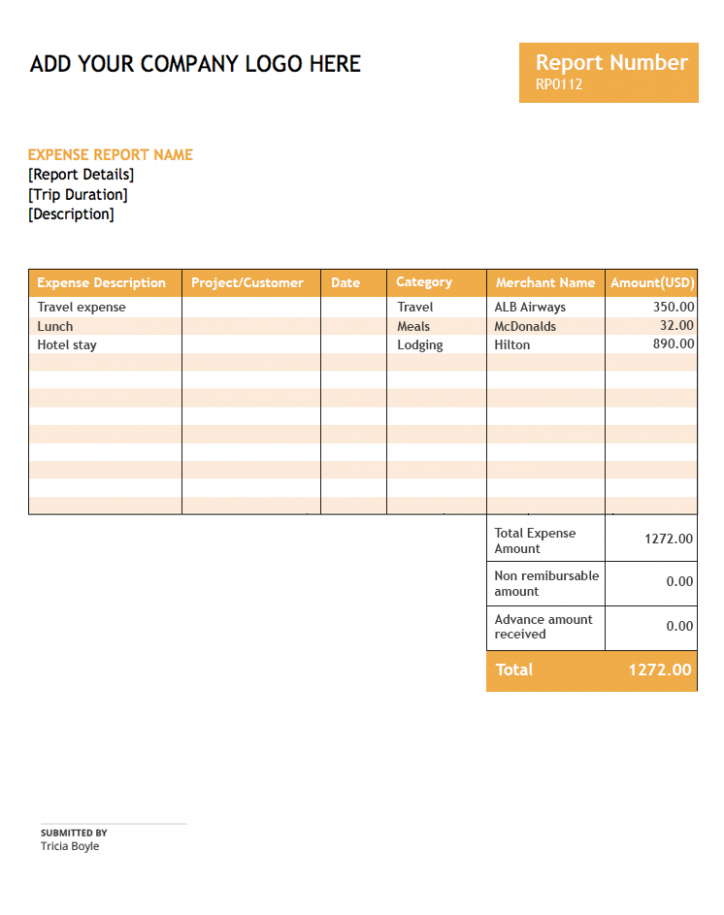 9  Employee Dinner Expense Report Template