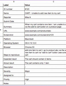 Best Editable Software Bug Incident Report Template Excel