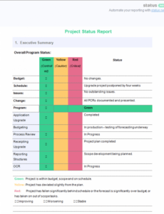 Best Printable Executive Program Status Report Template Doc