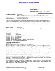 Best Printable Work In Progress Report Template Doc