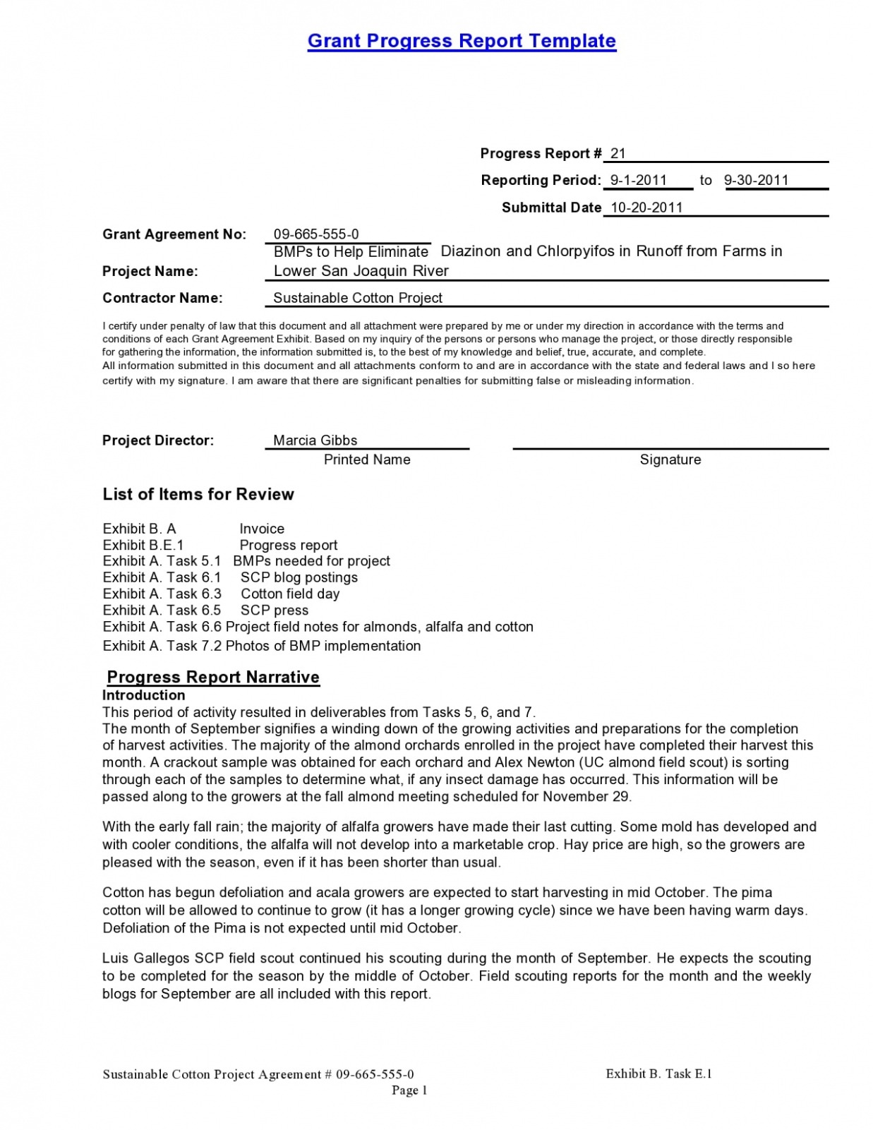 Best Printable Work In Progress Report Template Doc