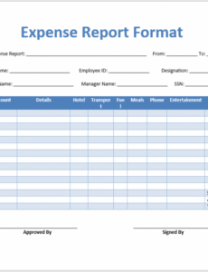 Editable Beautiful Modern Expense Report Template Example