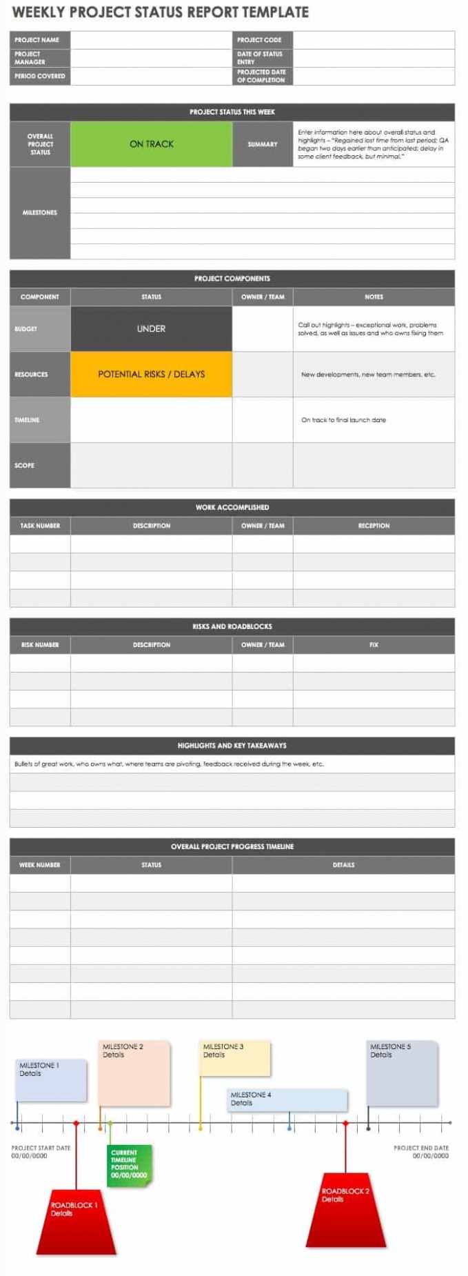 Editable Executive Program Status Report Template