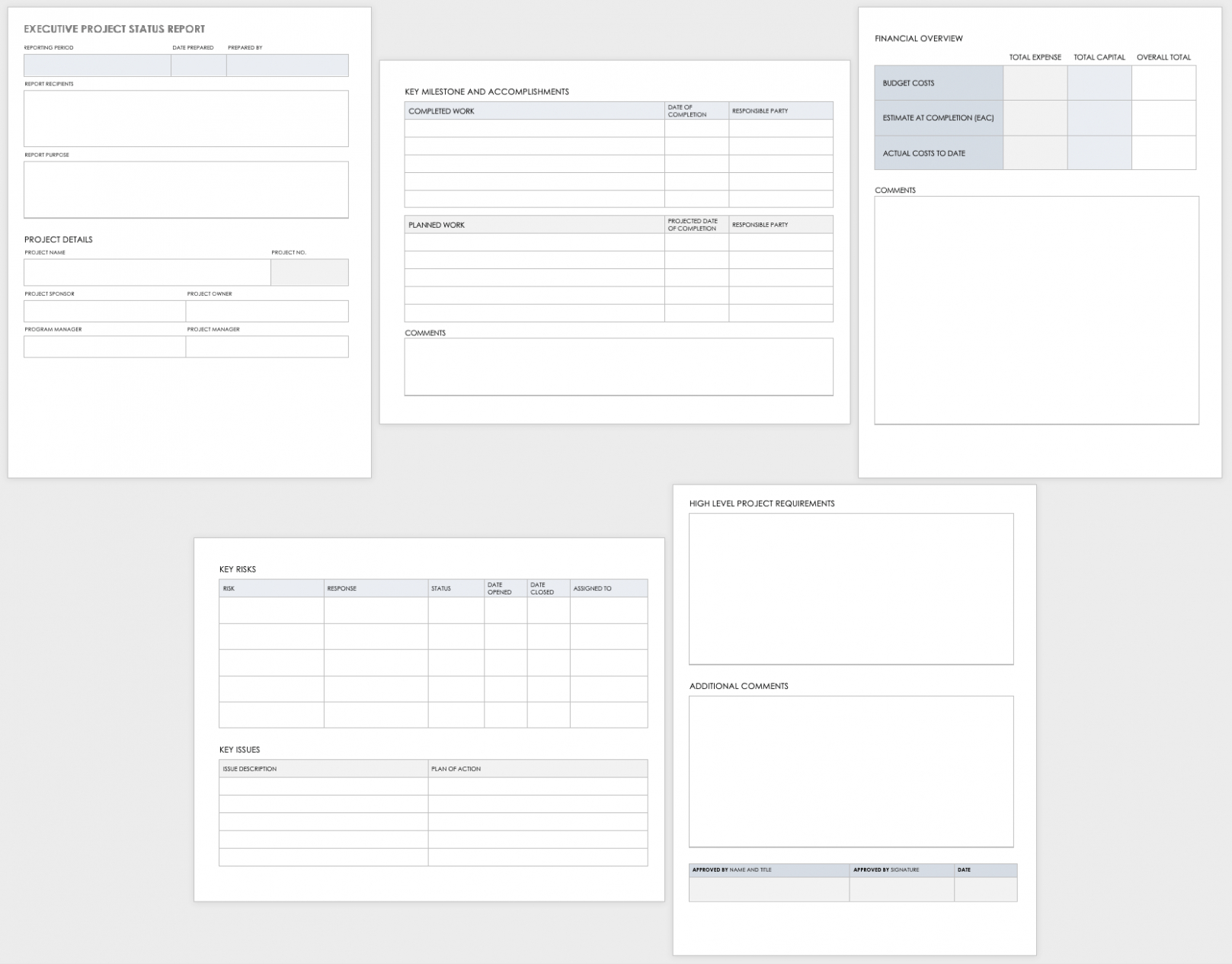 Editable Executive Project Status Report Template Doc