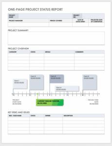 Executive Program Status Report Template Pdf