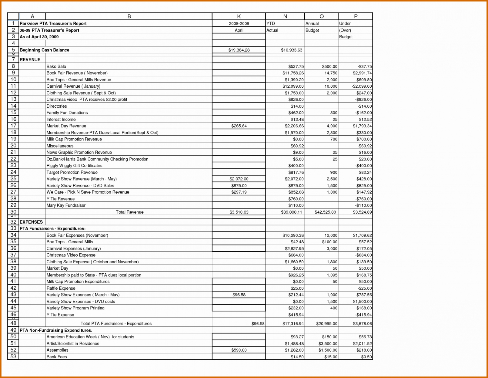 Free Editable Monthly Non Profit Treasurer Report Template Xls