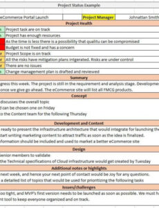 Free Editable Project Management Project Status Report Template Word