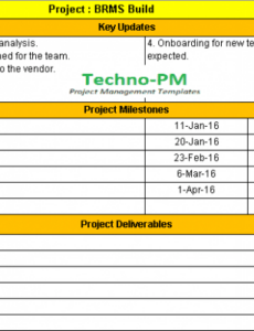 Free Editable Project Management Project Status Report Template Word