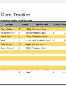 Top Editable Business Credit Card Expense Report Template Docs