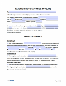 Professional Eviction Notice New York Template Word Sample