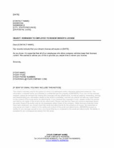 Professional Insurance Renewal Notice Template Excel Example