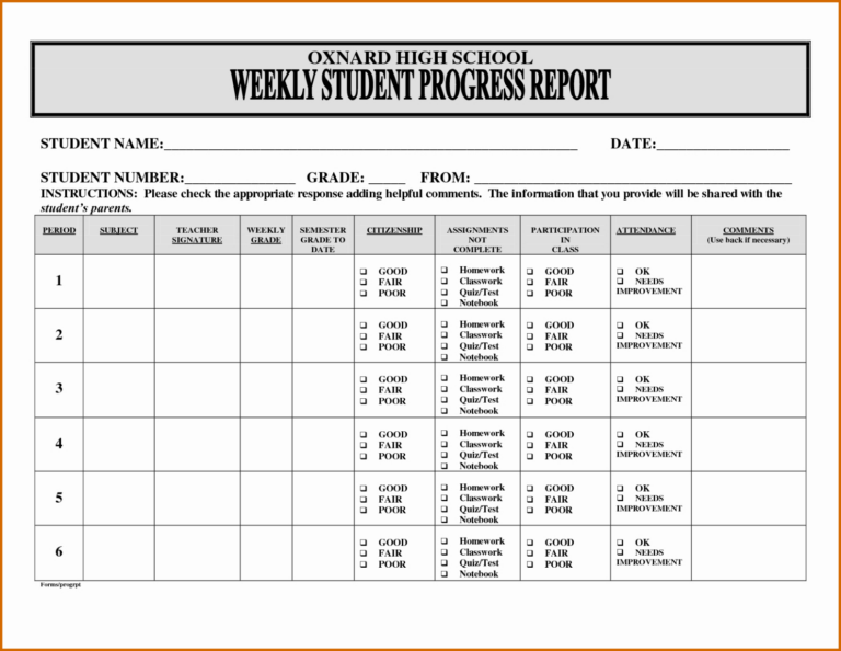 Primary School Progress Report Template