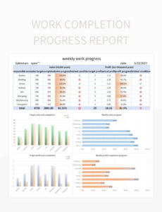 10 Editable Weekly Job Progress Report Template Docs