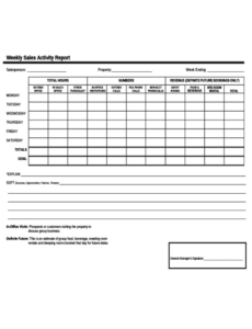 5  Salesman Weekly Sales Activity Report Template Example