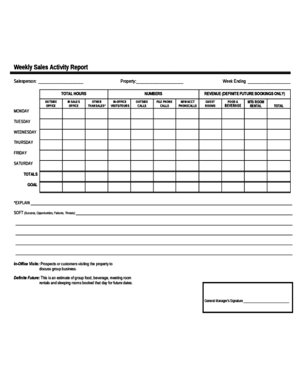 5  Salesman Weekly Sales Activity Report Template Example