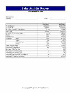 5  Security Officer Daily Activity Report Template Example