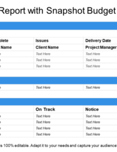 Printable Multiple Project Progress Report Template Excel