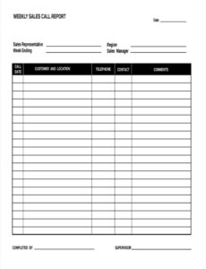 Printable Salesman Weekly Sales Activity Report Template Doc