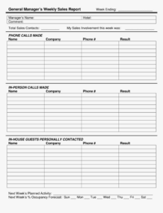 Printable Salesman Weekly Sales Activity Report Template Excel