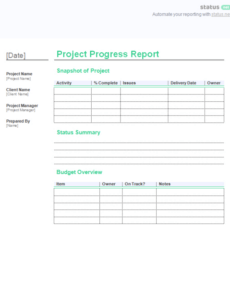 Top Printable Multiple Project Progress Report Template Word