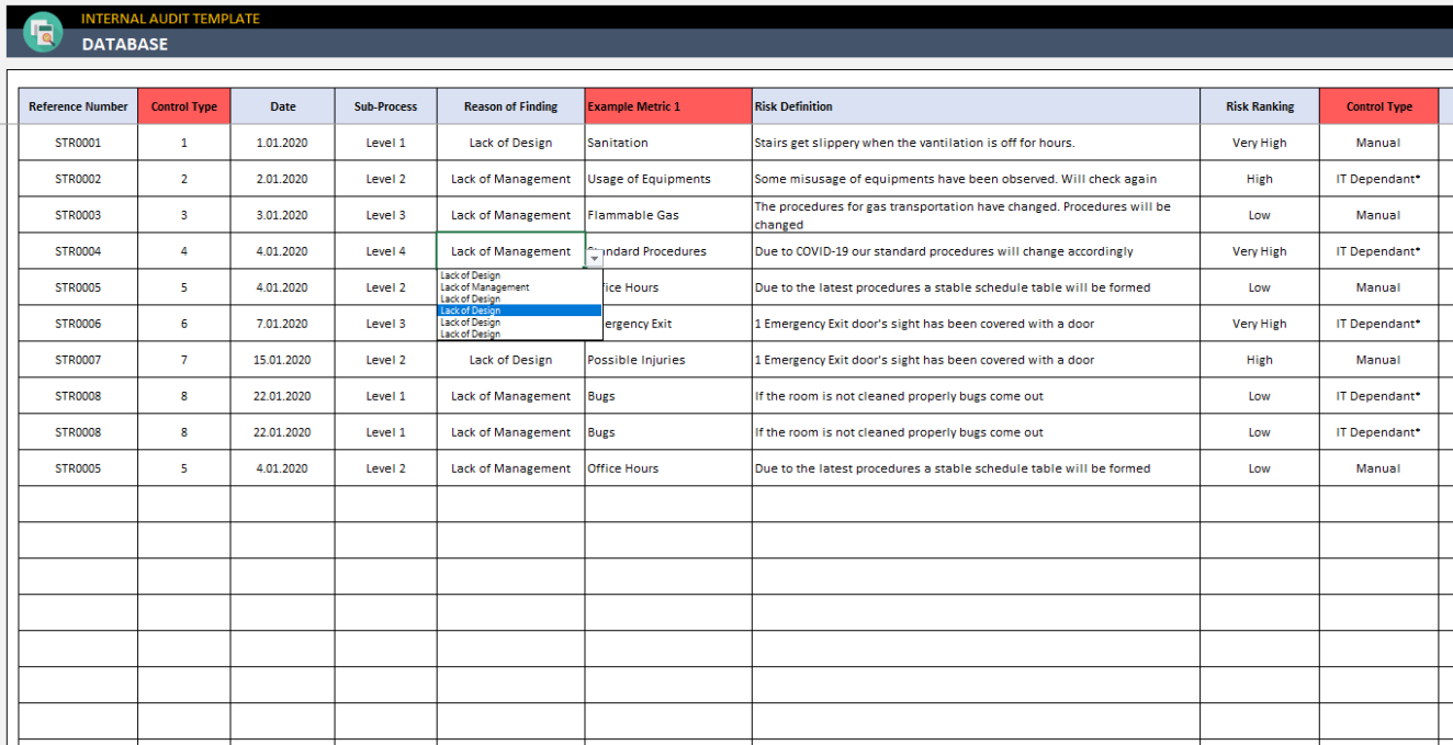 10  Internal Audit Status Report Template Excel