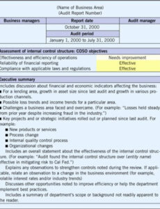 6 Printable Internal Audit Follow Up Report Template Excel