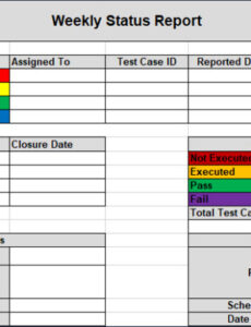 6  Software Testing Progress Report Template Docx