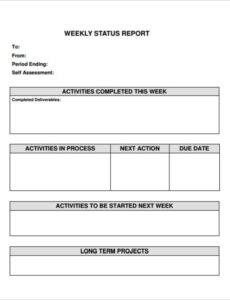 8 Printable Testing Weekly Status Report Template Doc