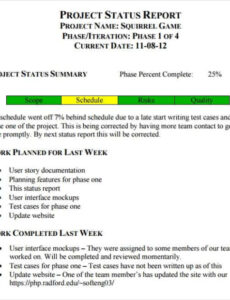 9  Testing Weekly Status Report Template