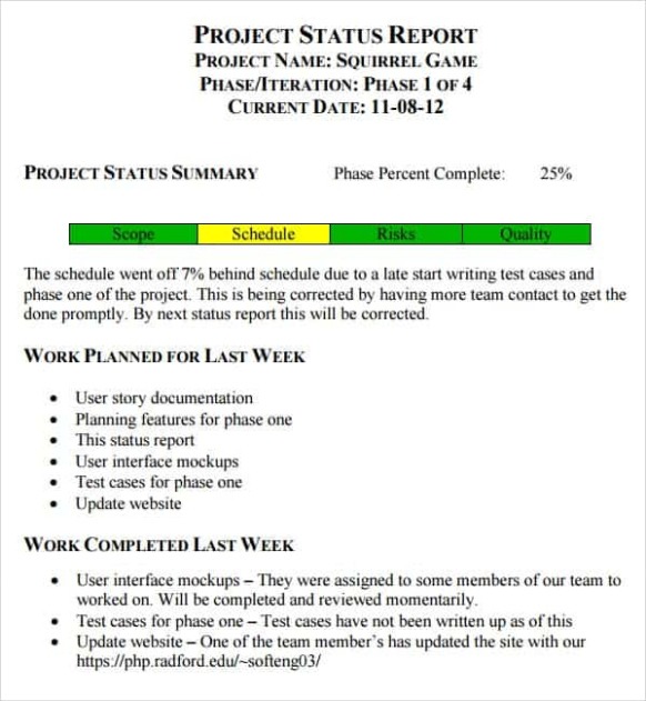 9  Testing Weekly Status Report Template