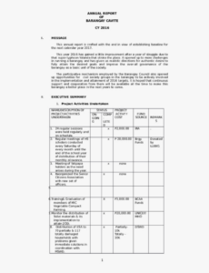 Free Editable Weekly Accomplishment Report Template Docs