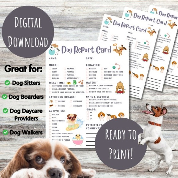 9  Dog Boarding Report Card Template Xls