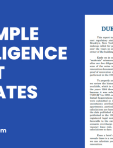 Printable Legal Due Diligence Report Template Excel