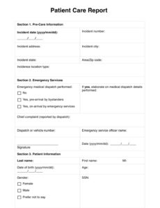 9 Editable Patient Care Report Narrative Template Excel