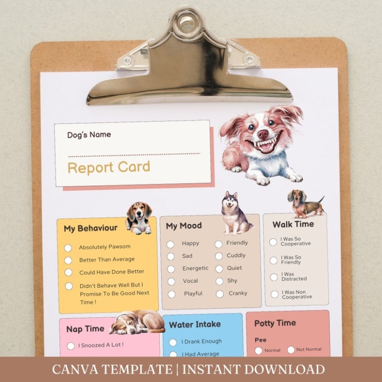 Top Printable Pet Boarding Report Card Template Docx