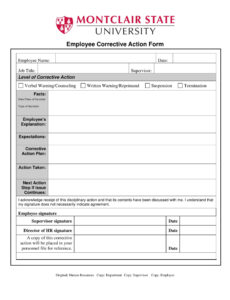 10  Student Disciplinary Report Template Word