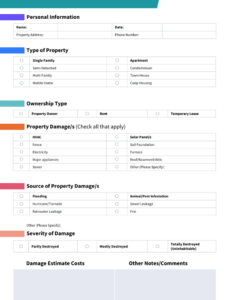 5 Editable Burst Geyser Damage Report Template Word