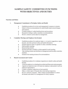 9  Health And Safety Committee Report Template Xls