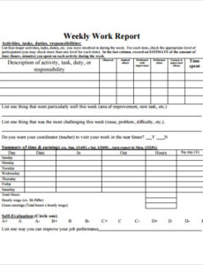 Best Printable Personal Progress Report Template Xls