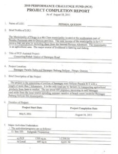 10 Editable Activity Completion Report Template Docs