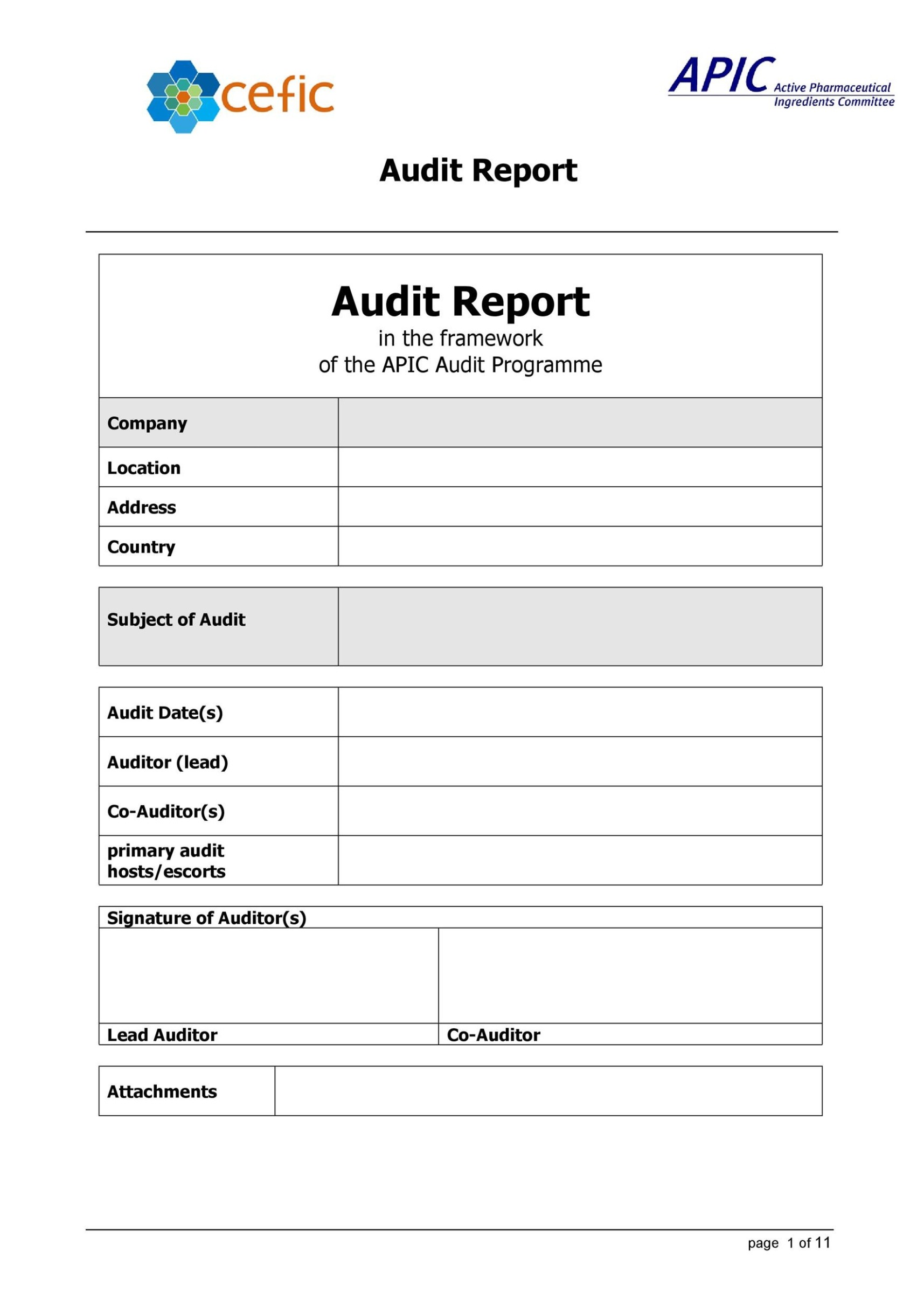 Free  Site Safety Audit Report Template Xls