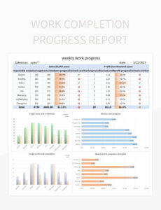 Top Printable Service Completion Report Template Excel