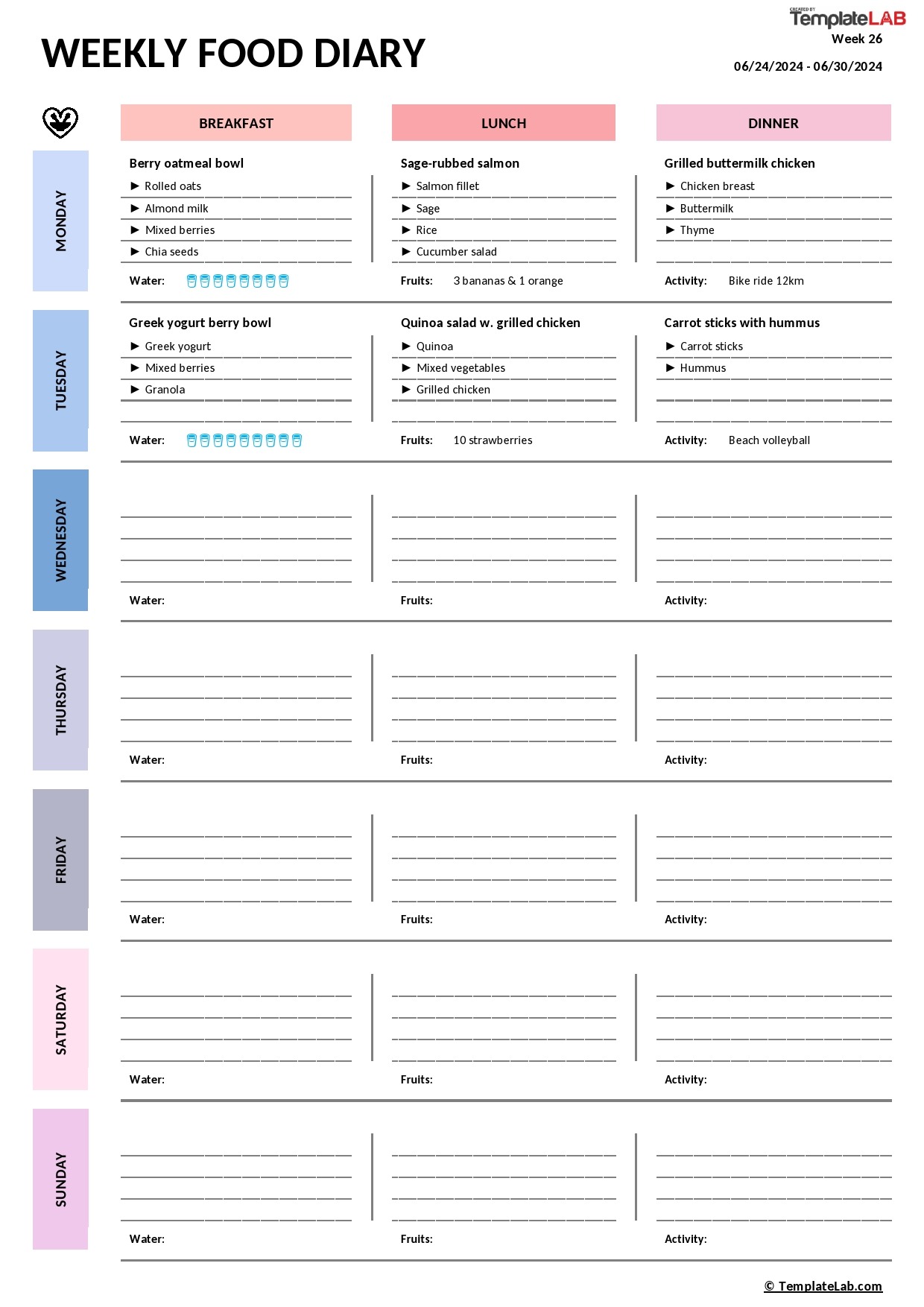 17-day-diet-food-journal-template